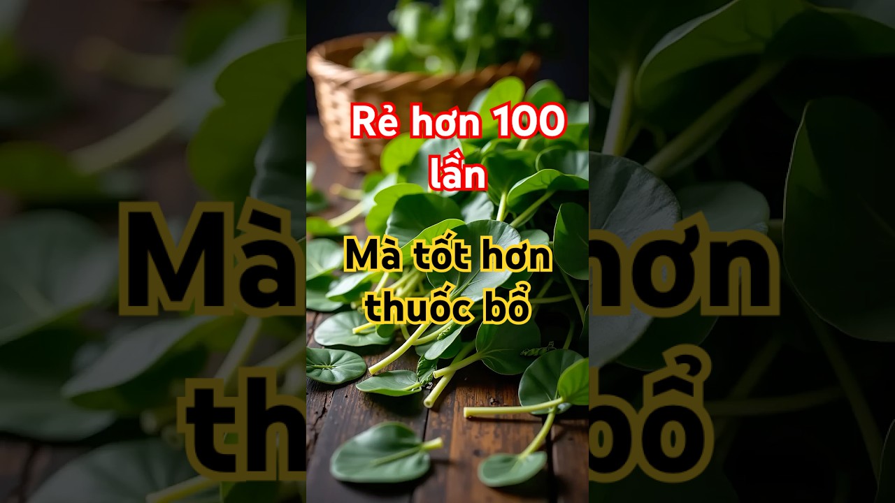 Những lá rau má tươi xanh, giải pháp tự nhiên hỗ trợ sức khỏe gan tối ưu.