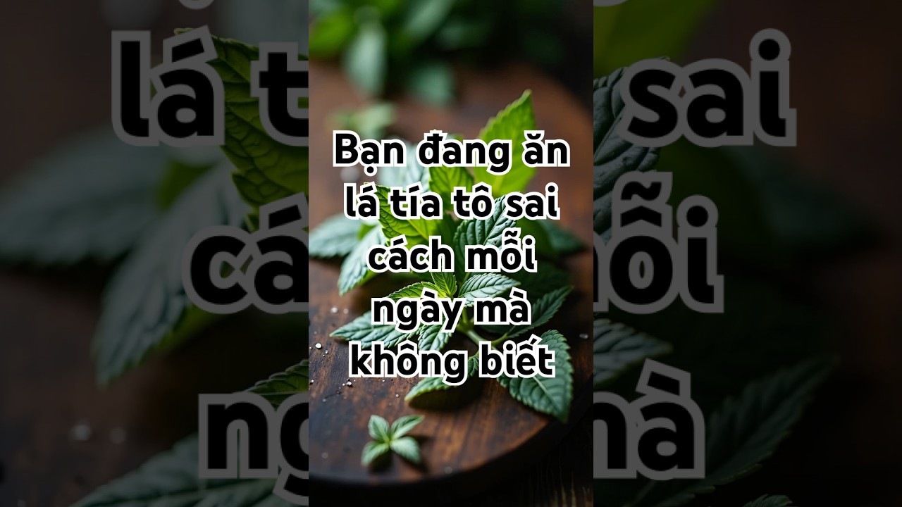 Lá tía tô tươi xanh dùng làm món ăn healthy, giàu dưỡng chất