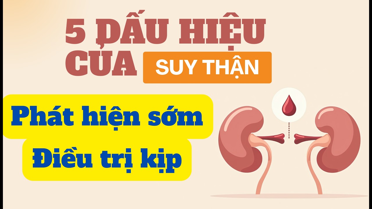 Hình ảnh minh họa về thận khỏe và dấu hiệu suy thận sớm cần lưu ý