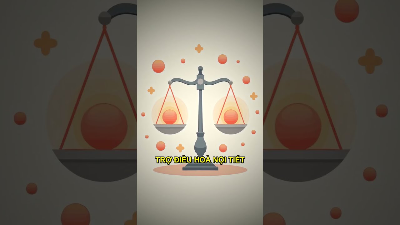 Lá atiso đỏ giúp cải thiện và giảm triệu chứng bốc hỏa mãn kinh tự nhiên