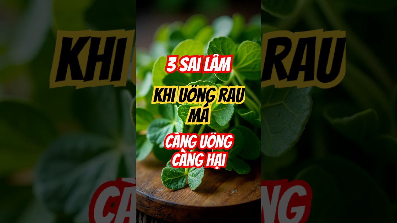 Nước rau má giải nhiệt tự nhiên và những lưu ý sức khỏe khi uống rau má