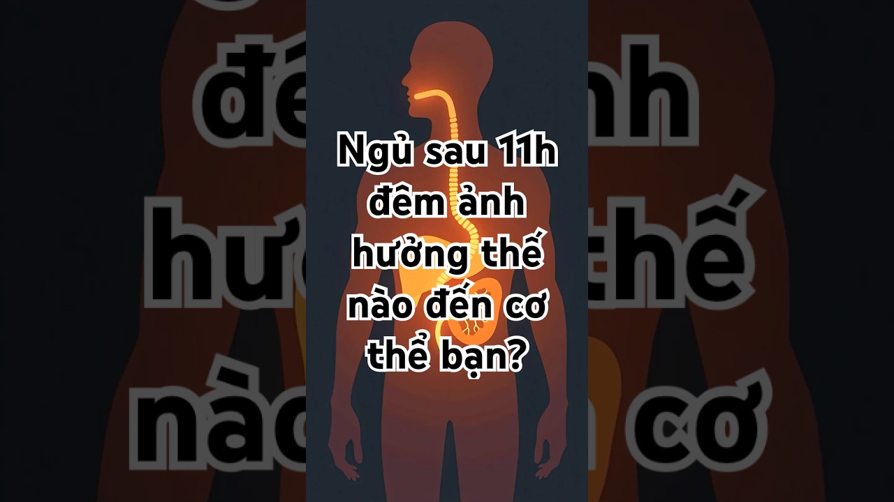 Sơ đồ cơ chế gan detox buổi đêm giúp phục hồi chức năng gan.