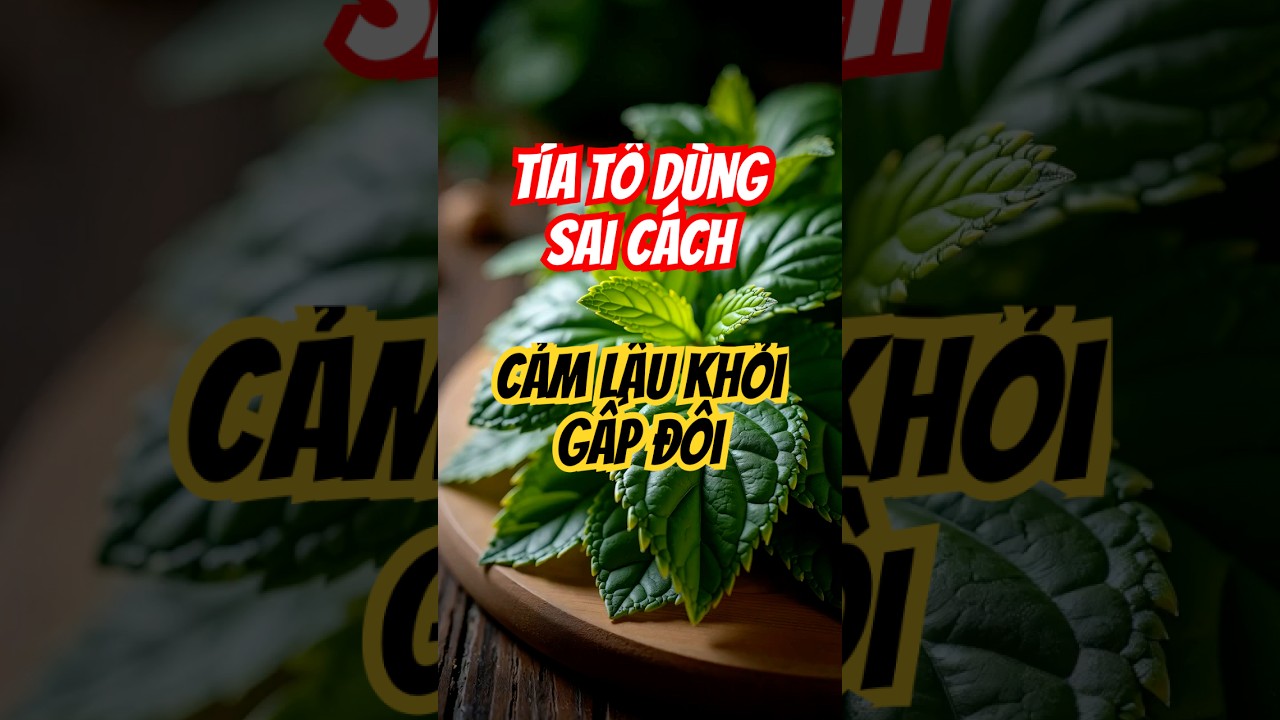 Lá tía tô tươi xanh dùng để giải cảm, hỗ trợ sức khỏe hệ hô hấp
