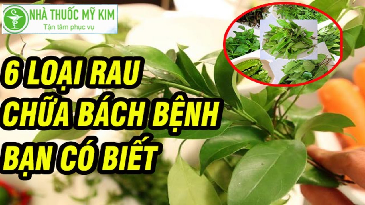Vườn rau chữa bệnh mini cung cấp nguồn dược liệu tươi sạch cho sức khỏe gia đình.