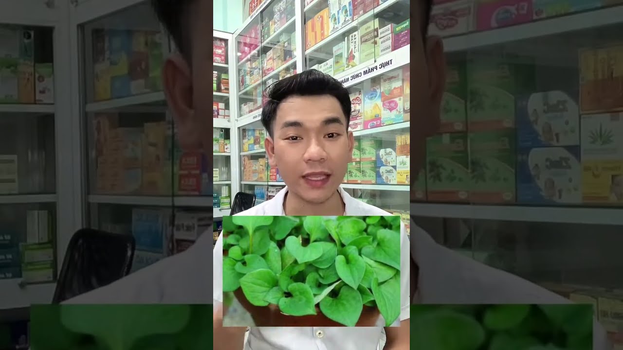 Các loại rau xanh tươi sạch giúp bảo vệ và làm khỏe gan thận.