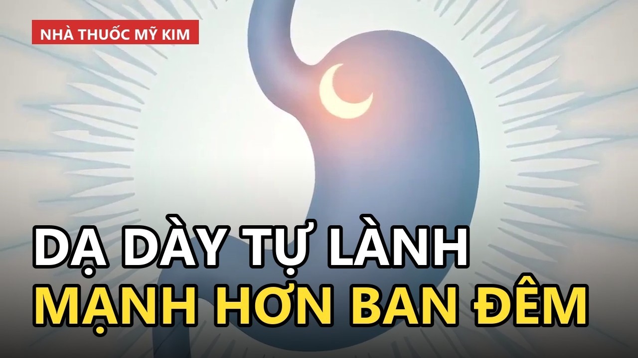 minh họa dạ dày khỏe mạnh tự chữa lành vào ban đêm