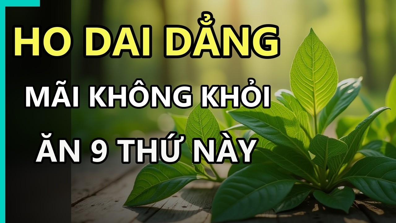 Các loại thực phẩm tự nhiên hỗ trợ bổ phổi và làm dịu cơn ho dai dẳng như gừng, mật ong, lê hấp.