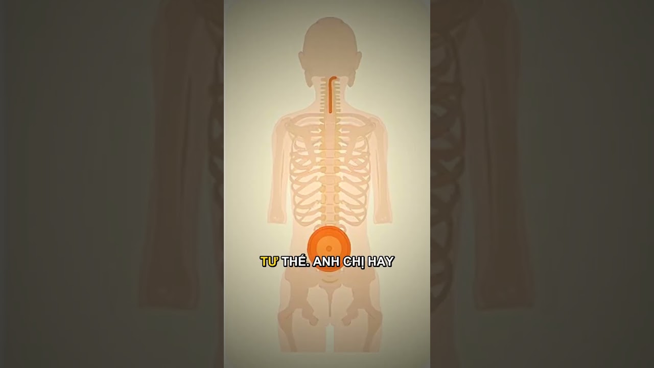 Minh họa các nguyên nhân tê tay tê chân do chèn ép thần kinh và suy tuần hoàn máu