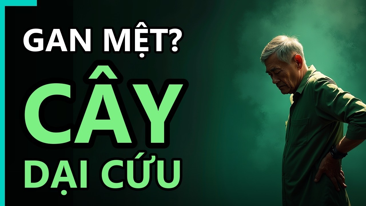 Lá cà gai leo hỗ trợ chức năng gan và giải độc cho cơ thể