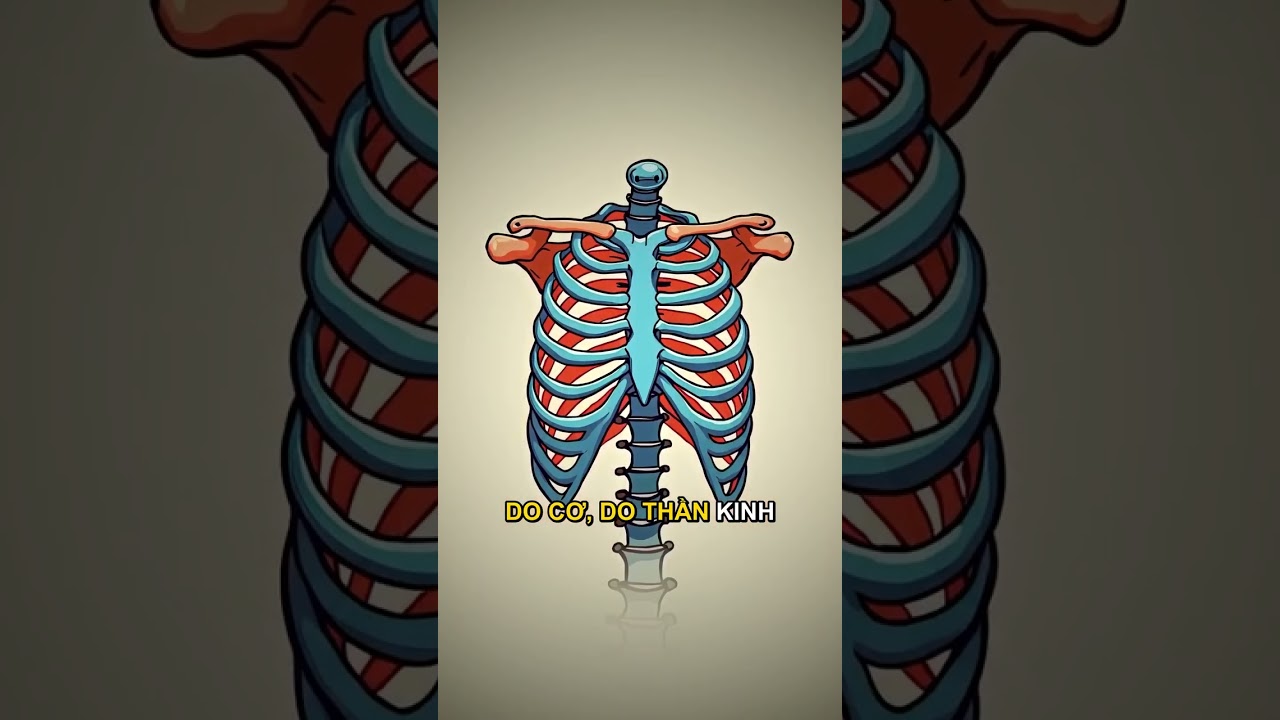 Bảng phân biệt các triệu chứng đau nhói ngực trái do tim và do thần kinh