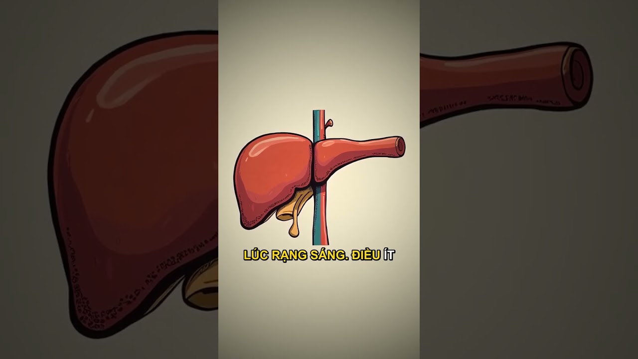 hướng dẫn khắc phục tình trạng giật mình tỉnh giấc nửa đêm và khó ngủ lại