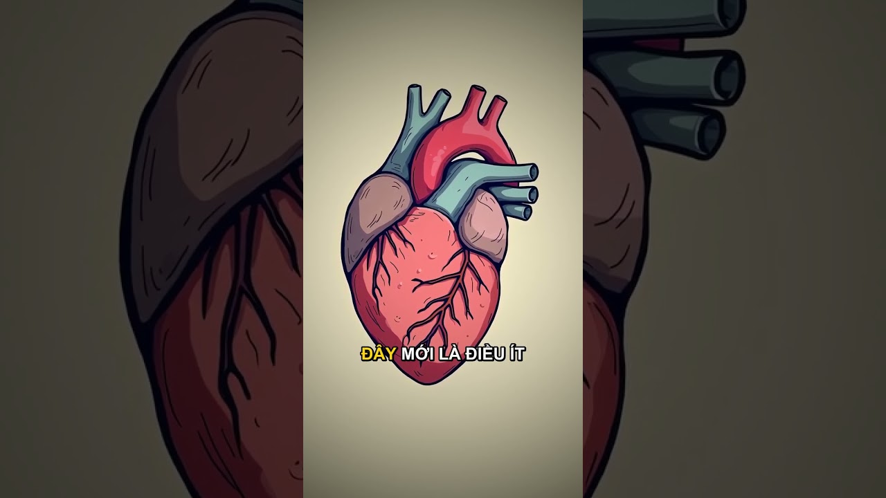 Hướng dẫn cai nghiện rượu an toàn khi bỏ rượu đột ngột
