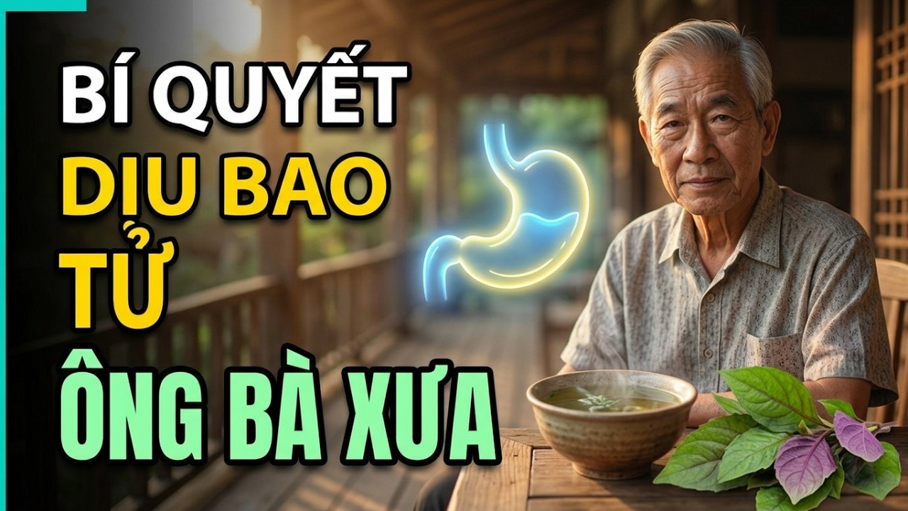 Lá khôi tía giúp dịu và làm lành niêm mạc dạ dày